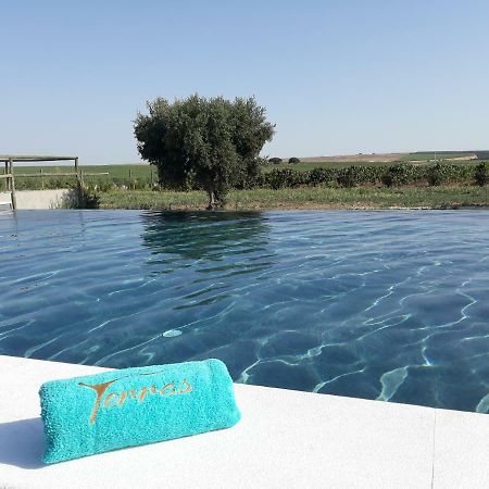 Terras - Agroturismo & Vinhos Beja Ngoại thất bức ảnh