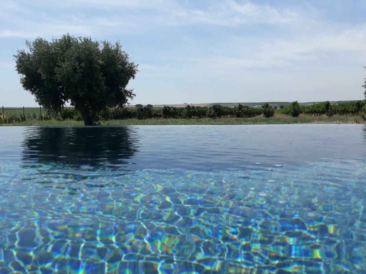 Terras - Agroturismo & Vinhos Beja Ngoại thất bức ảnh