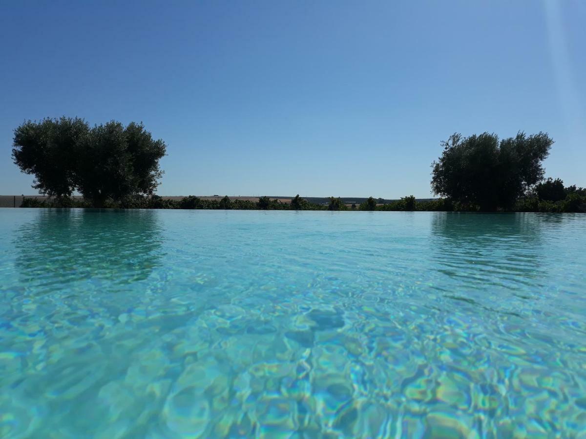 Terras - Agroturismo & Vinhos Beja Ngoại thất bức ảnh