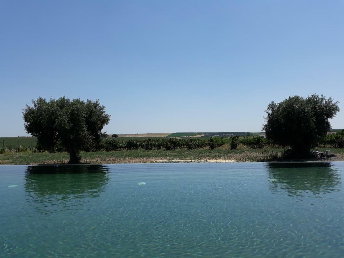Terras - Agroturismo & Vinhos Beja Ngoại thất bức ảnh